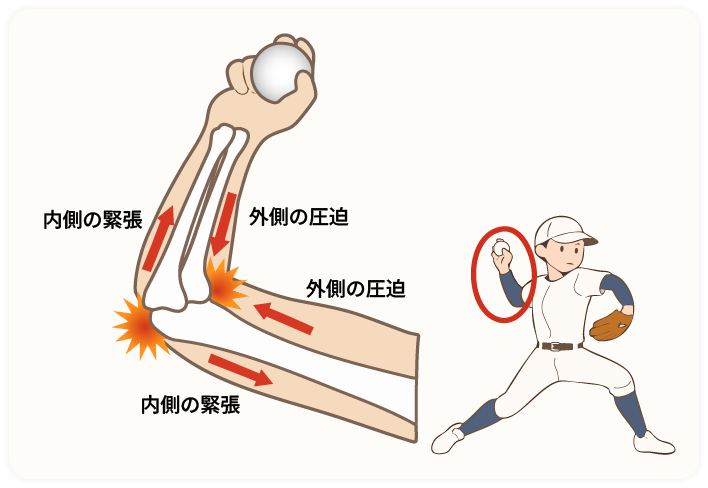 イメージ画像