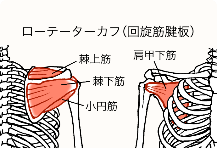 イメージ画像