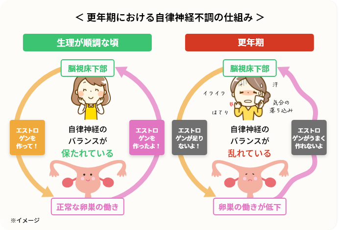 イメージ画像