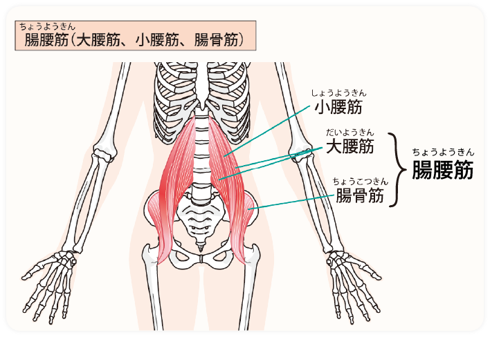 イメージ画像