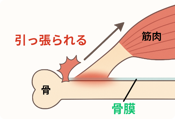 イメージ画像