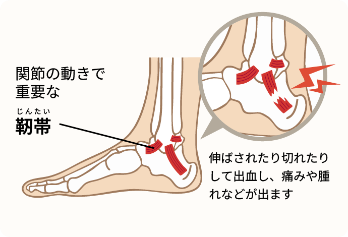 イメージ画像